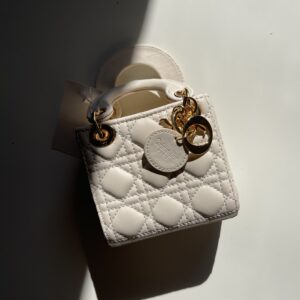 Lady Dior (12*10)