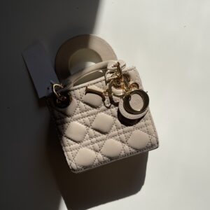 Lady Dior (12*10)