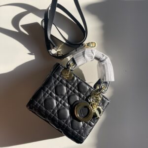 Lady Dior (17*15)