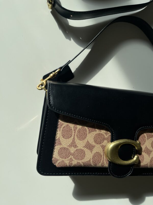 Coach with box - Image 2