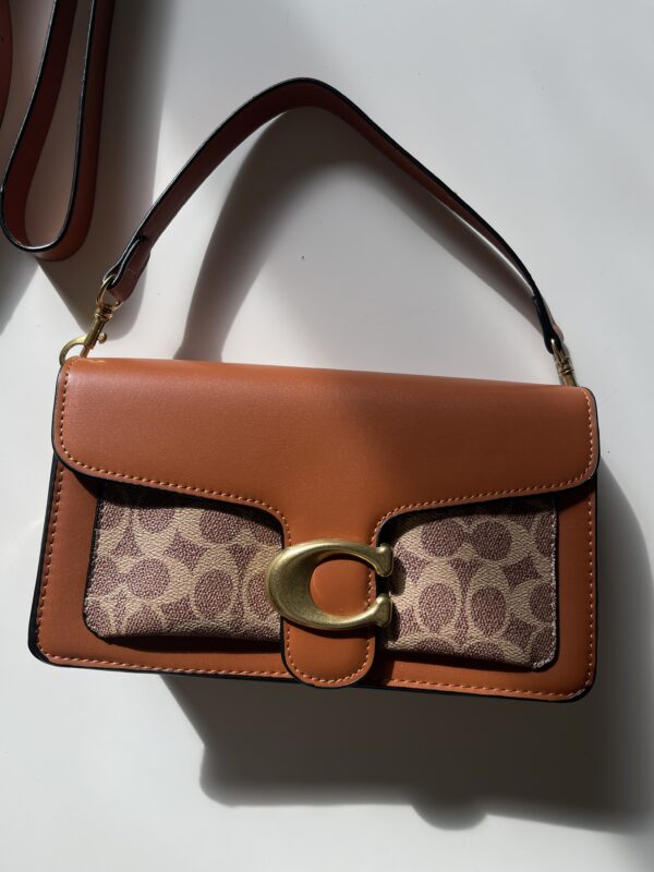 Coach with box - Image 2