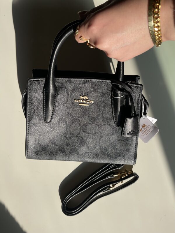 Coach - Image 3