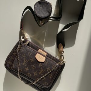 Louis Vuitton the Multi Pochette Accessoires