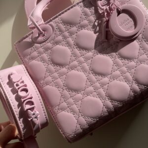 Lady Dior small (20*16)