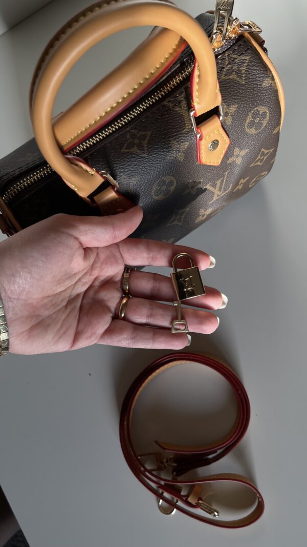 Louis Vuitton Mini - Image 6