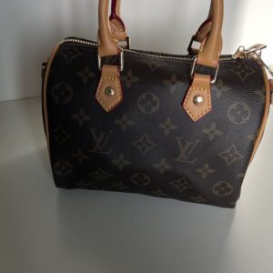 Louis Vuitton Mini