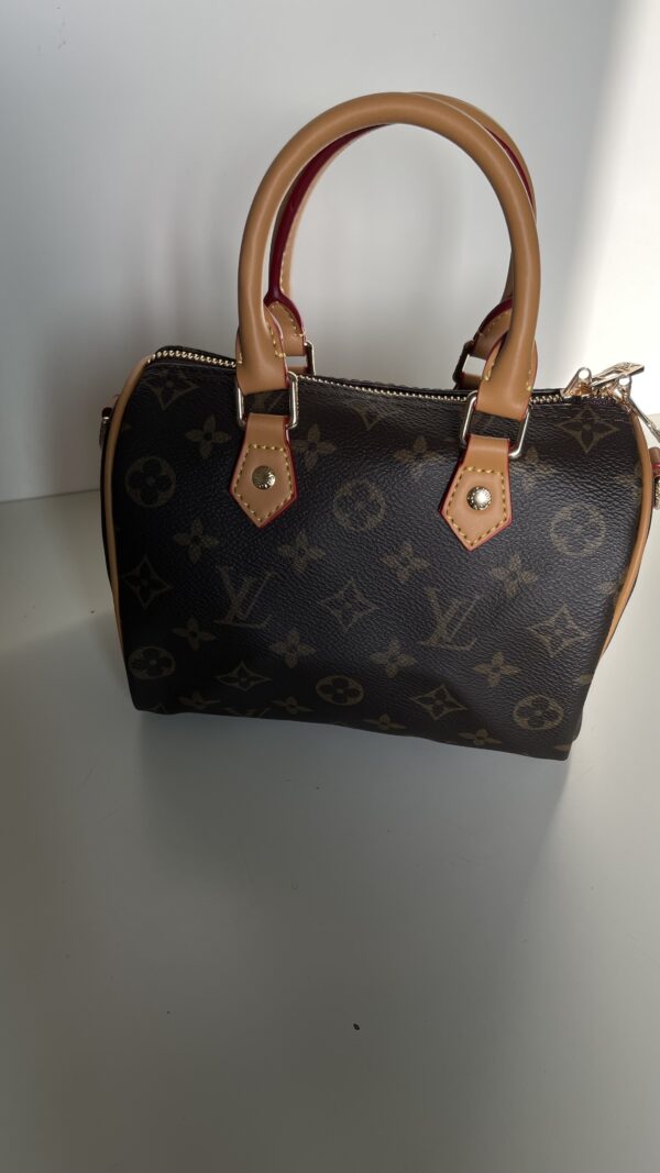 Louis Vuitton Mini