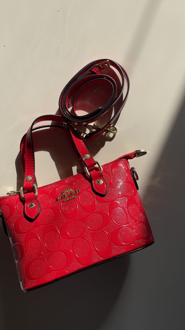 Coach - Image 2