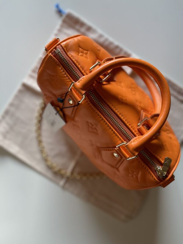Louis Vuitton Speedy